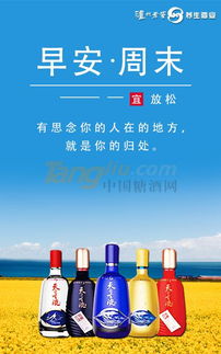 瀘州天之圣液攜手糖酒網，開啟酒類經營新篇章