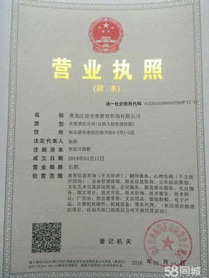 深耕黑土地，服務轉型路——教育咨詢服務助力發展全解析